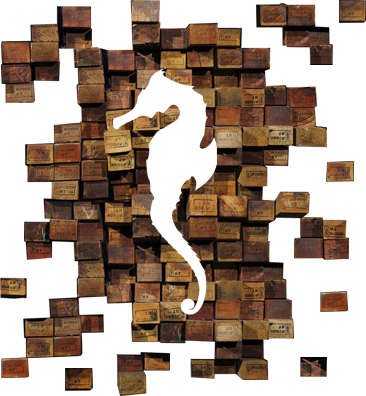 Imatge del cavallet de mar (el nostre logo) amb blocs dispersos al fons.